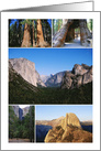 Yosemite National Park Collage Blank Any Occasion card