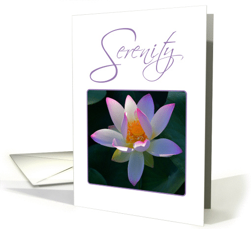 Serenity Pink Lotus card (1324656)