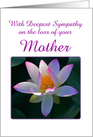 With Sympathy Mother Pink Lotus card