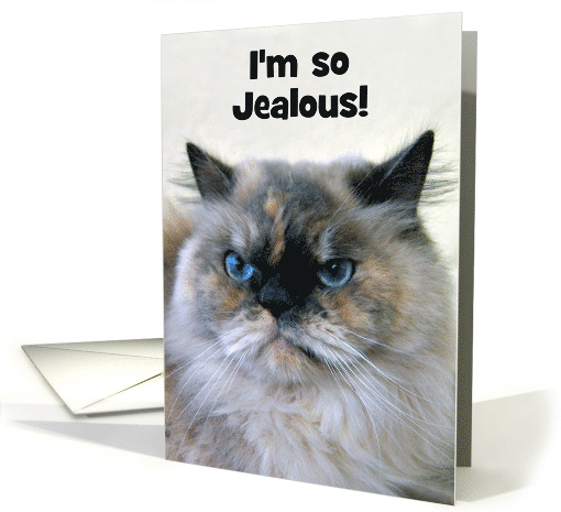 Happy Birthday Himalayan Cat, Custom Text card (1346202)