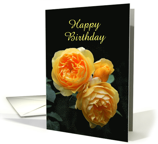 June Birth Flower, Rose, Happy Birthday, Custom Text card (1383208)