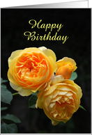 June Birth Flower, Rose, Happy Birthday, Custom Text card