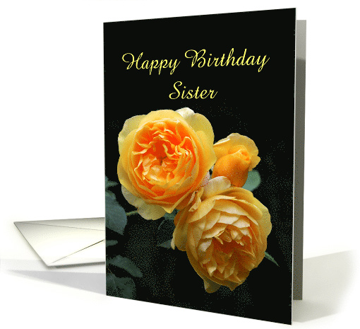 Sister Happy Birthday June Birth Flower, Rose, Custom Text card