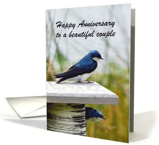 Tree Swallow Couple Happy Anniversary card (1389672)