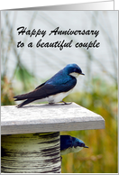 Tree Swallow Couple Happy Anniversary card