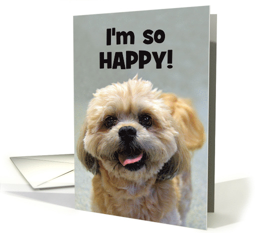 Happy Shih Tzu Happy Birthday card (1398514)