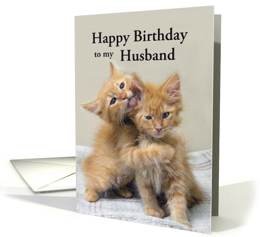 Husband Happy Birthday, Orange Kittens, Custom Text card (1444510)
