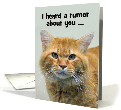 Orange Tabby Happy Birthday card (1461790)