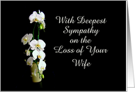 Deepest Sympathy on the Loss of Wife, White Orchids, Custom Cover card