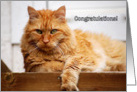 Congratulations! - graduation card