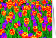 Pop Art Neon Tulips...