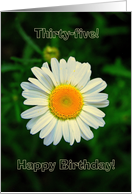 Thirty-Five Daisy Happy Birthday card