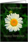 Thirty-Five Daisy Happy Birthday card