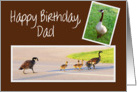 Happy Birthday to Dad -- Goose Family card