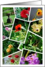 Flower Garden Collage Blank card