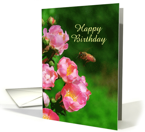 Happy Birthday - Honeybee with Wild Roses, Custom Text card (446767)
