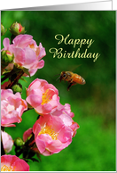 Happy Birthday - Honeybee with Wild Roses, Custom Text card