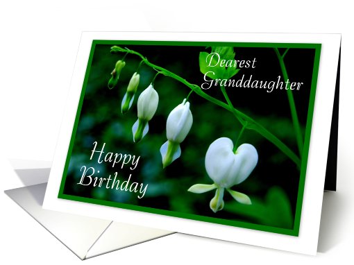 Happy Birthday to Granddaughter - White Hearts card (454789)