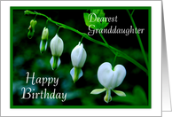 Happy Birthday to Granddaughter - White Hearts card