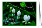 Happy Birthday to Cousin - White Hearts card