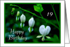 Happy Birthday to 19 - White Hearts card