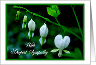 With Deepest Sympathy -- White Hearts card