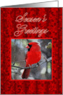 Season’s Greetings Cardinal Business card