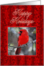 Happy Holidays Cardinal and Holly Art card
