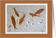 Fossil Fish Blank Notecard card