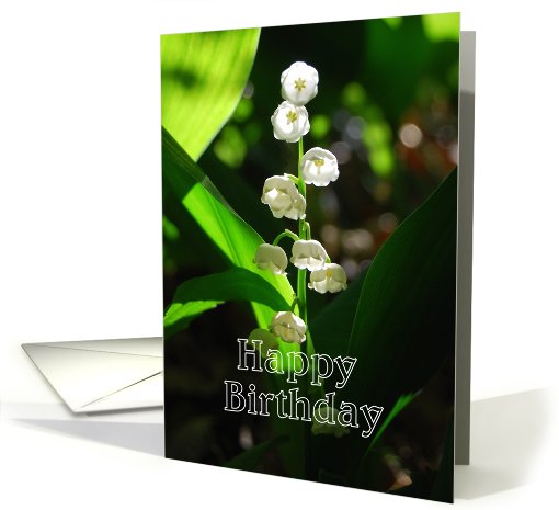 Happy Birthday Lily of the Valley May Birth Flower card (617268)