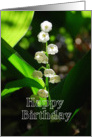 Happy Birthday Lily of the Valley May Birth Flower card