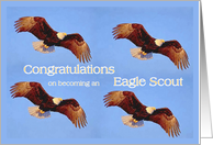 Congratulations Eagle Scout card