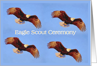 Eagle Scout...