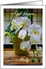 Gift For Molly, White Orchids card