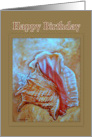 Happy Birthday Conch Shell card