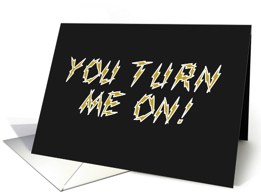 Happy Birthday, You Turn Me On, Electric Humor card (675332)