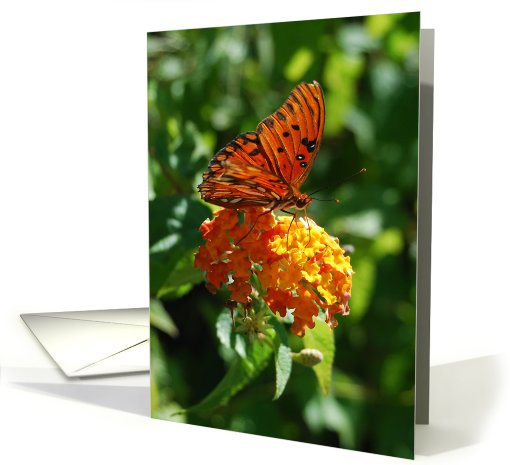 Gulf Fritillary Butterfly on Yellow Lantana Notecard card (710465)