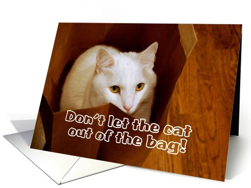 Cat in Bag Surprise Birthday Party Invitation card (724850)