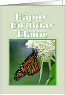 Happy Birthday, Elaine, Monarch Butterfly on White Milkweed Flower card