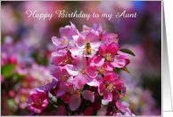 Happy Birthday Aunt Apple Blossoms and Honey Bee, Custom Text card