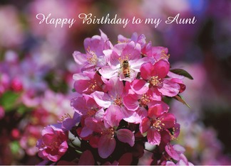 Happy Birthday Aunt...