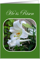 He is Risen, Easter Blessings, White Lilies card