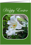 Happy Easter, Easter Blessings, White Lilies card