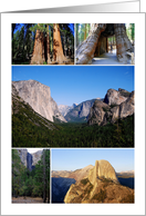 Yosemite National Park Collage Blank Any Occasion card