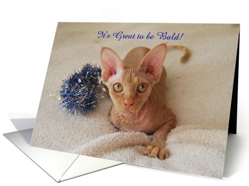 Get Well, Sphinx Cat, Bald Humor, Custom Text card (997815)