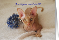 Get Well, Sphinx Cat, Bald Humor, Custom Text card