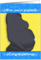 Pregnancy...