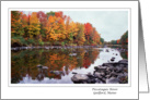 Fall Foliage card