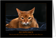 Acceptance - Ginger Cat Humor card