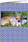 funny chihuahua dog bridesmaid wedding card